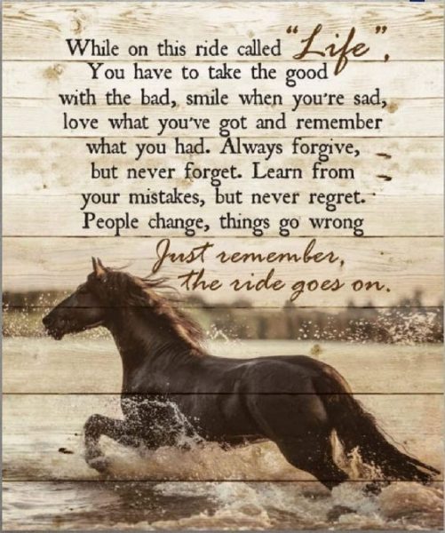 Poster No Frame While On This Ride Called Life Just Remember The Ride Goes On