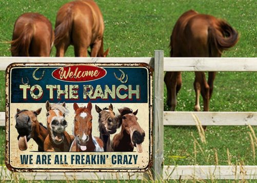 horses grazing