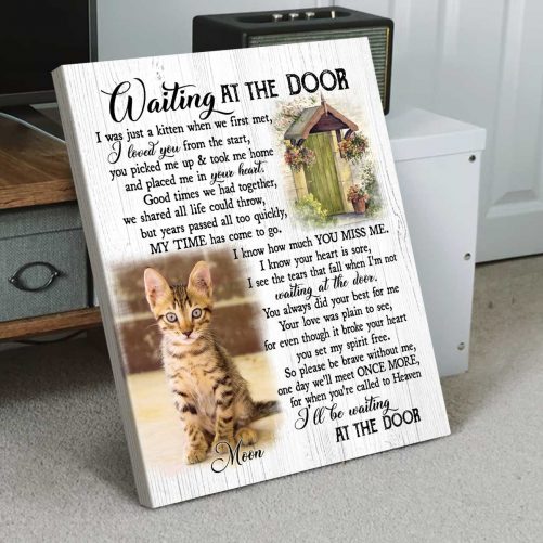 cat wall art
