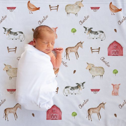 Farm Animals Personalized Baby Blanket 1
