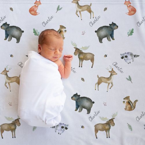 Woodland Animals Personalized Baby Blanket 2