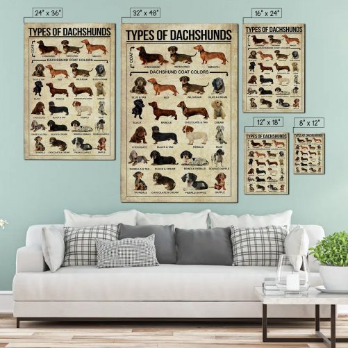 Types Of Dachshunds Dog Poster Dachshunds Knowledge Poster Dachshunds Canvas Dog Lover Poster Dachshunds Lover Gift For Dog Lover 1