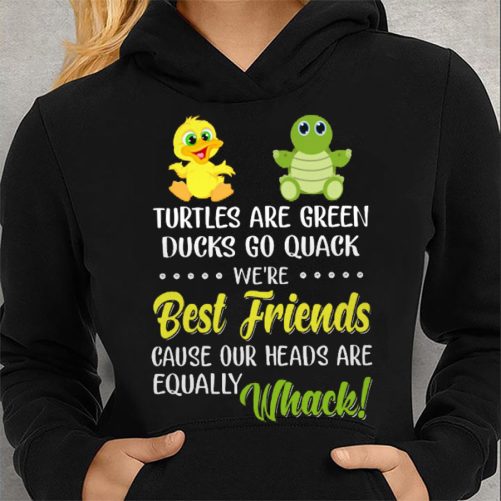Bestie Hoodie Turtles Are Green Ducks Go Quack   Gift For Bestie  2