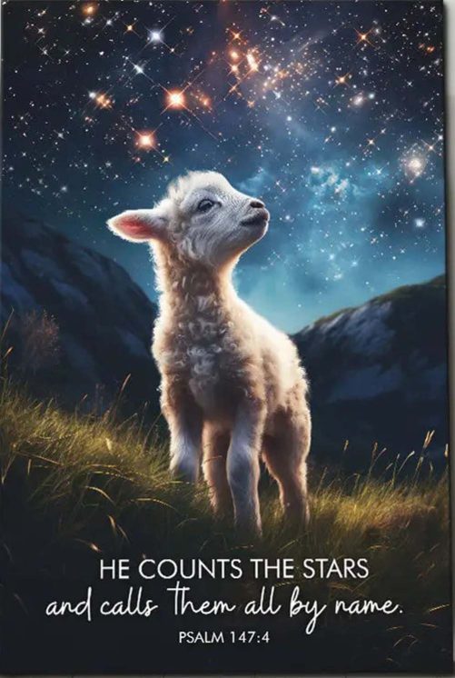 He Counts The Stars And Calls Them All By Name Psalm