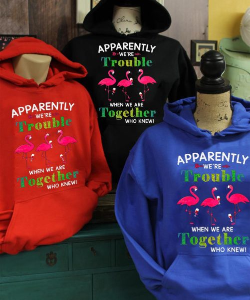 Matching Best Friend Hoodie Apparently We're Trouble Flamingo Design   Gift For Best Friend  3