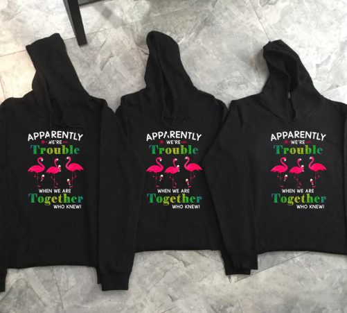 Matching Best Friend Hoodie Apparently We're Trouble Flamingo Design   Gift For Best Friend  4