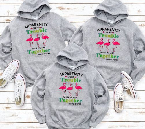 Matching Best Friend Hoodie Apparently We're Trouble Flamingo Design   Gift For Best Friend