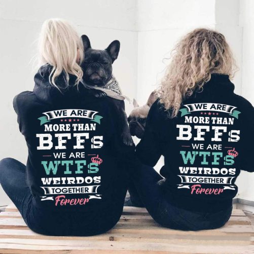 Matching Best Friend Hoodie We Are More Than BFFs We Are Weirdo   Gift For Best Friend  1