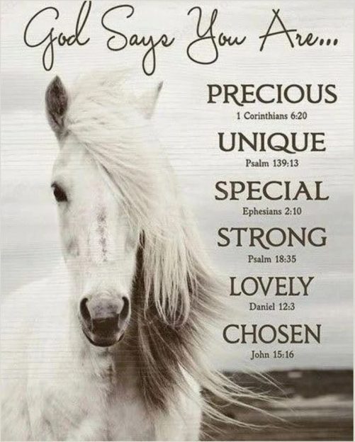 horse canvas god says you are