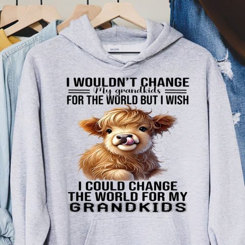 Grandma Hoodie I Wouldn't Change My Grandkids For The World But I Wish   Gift For Grandma  4