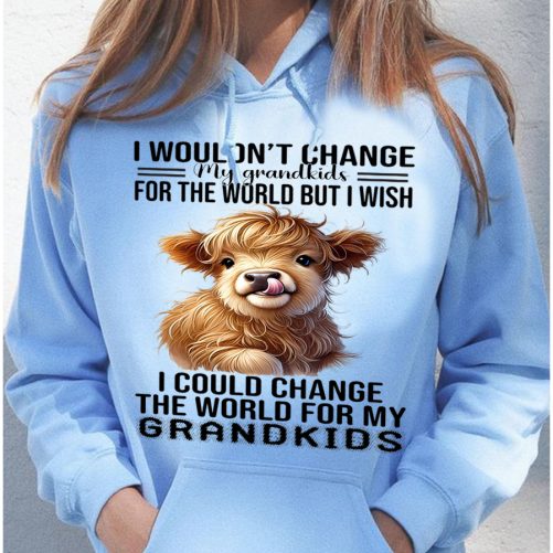 Grandma Hoodie I Wouldn't Change My Grandkids For The World But I Wish   Gift For Grandma