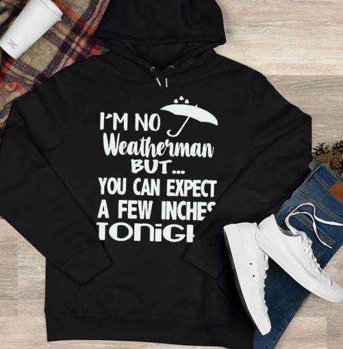 Funny Hoodie I'm No Weatherman But You Can Expect Funny Gift 2