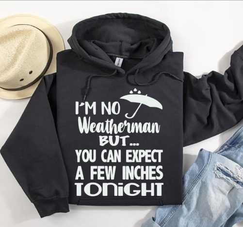 Funny Hoodie I'm No Weatherman But You Can Expect Funny Gift 3
