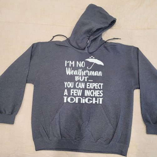 Funny Hoodie I'm No Weatherman But You Can Expect Funny Gift