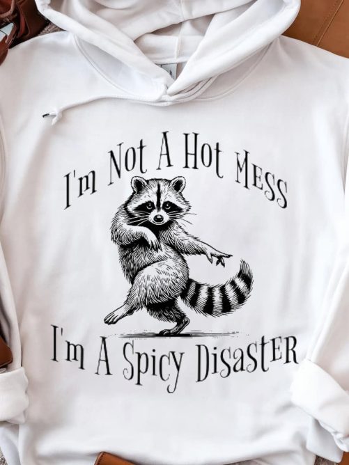 Funny Hoodie I'm Not A Hot Mess   Funny Gift  1