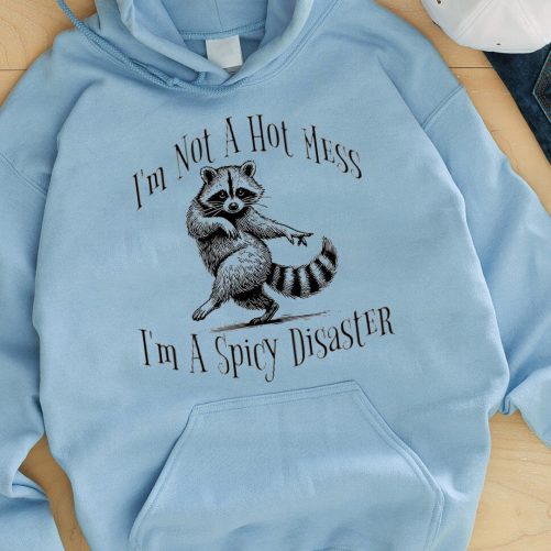 Funny Hoodie I'm Not A Hot Mess   Funny Gift  2