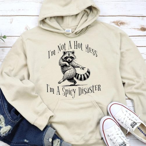 Funny Hoodie I'm Not A Hot Mess   Funny Gift  3