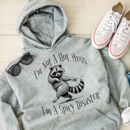Funny Hoodie I'm Not A Hot Mess   Funny Gift
