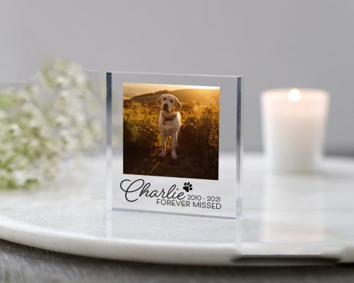 Pet Memorial Dog Memorial Pet Loss Gift Pet Memorial Frame Cat Memorial Plaque Forever Missed