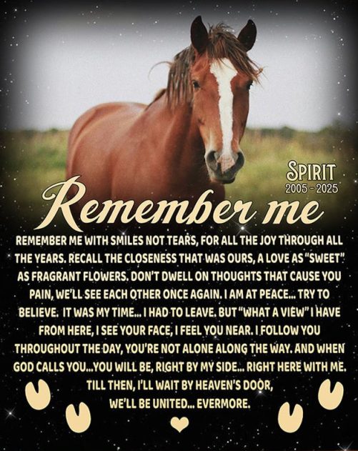 Remember Me Horse Poem | Custom Horse Memorial Canvas Print