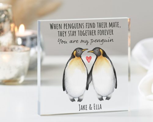 When penguins find their mate gift, anniversary gift, personalised you're my penguin, gifts for her, gifts for him, gift for special one