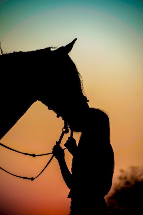 Horse Canvas Girl Horses