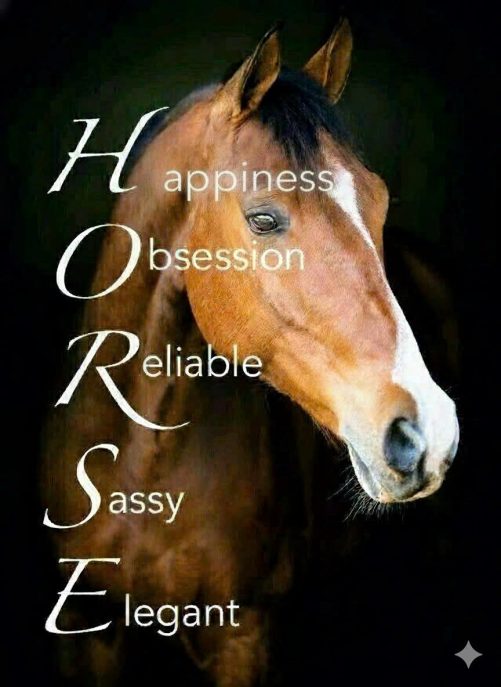 Horse Canvas Happiness Obsession Reliable Sassy Elegant