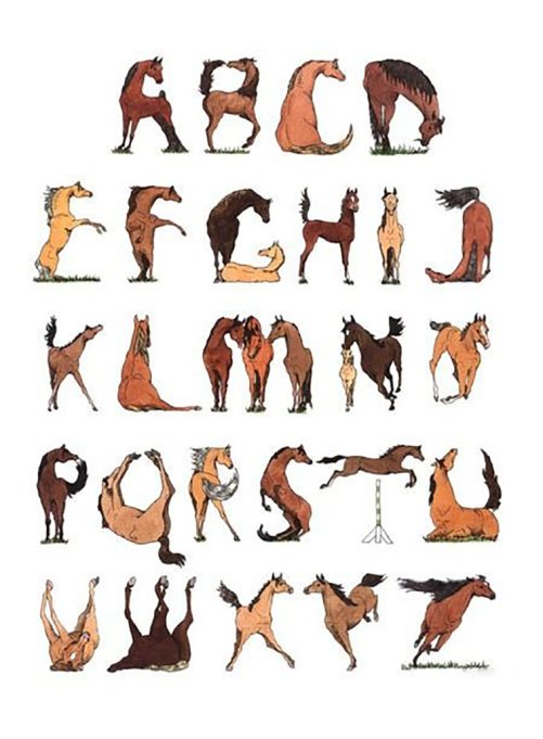 horse sign language canvas