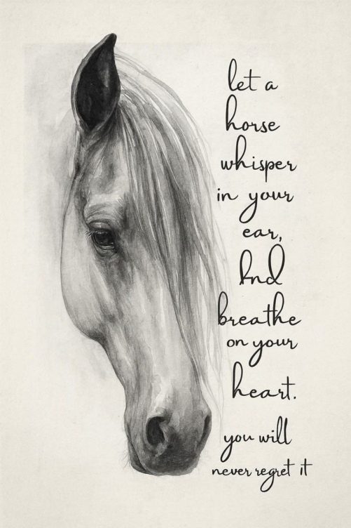let a horse whisper