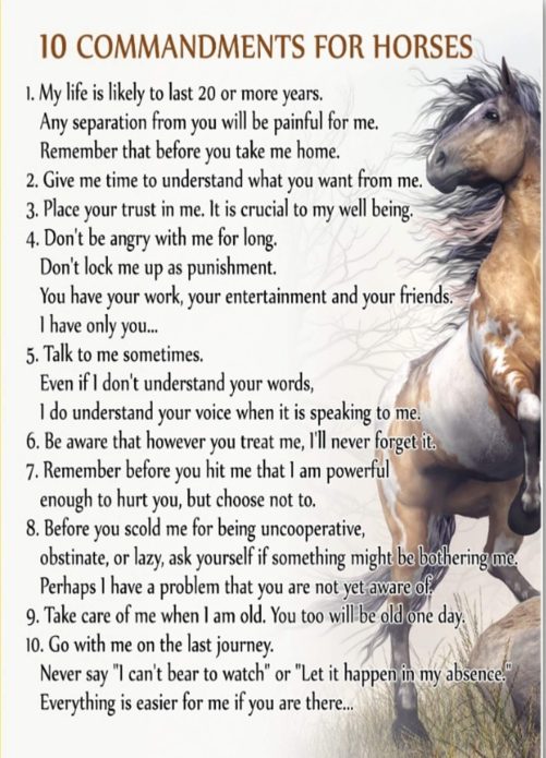 Horse Poster 10 Commandments