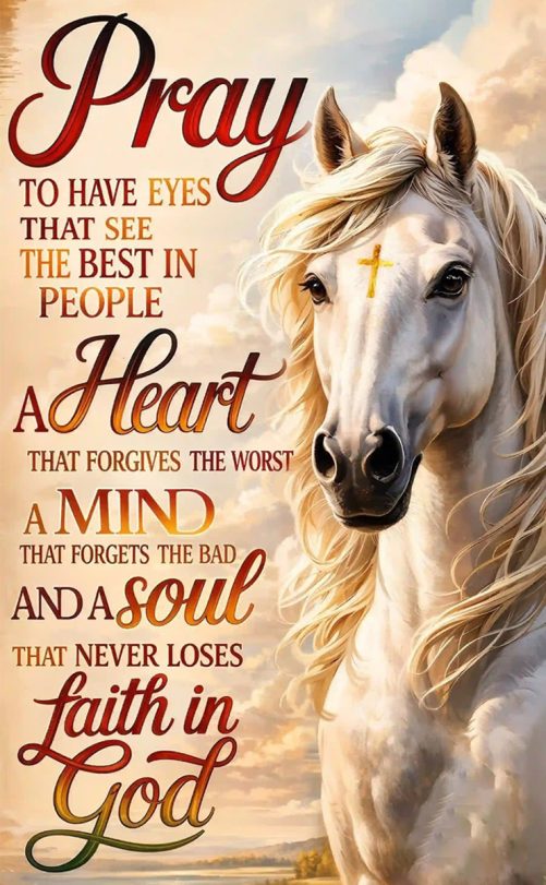 horse canvas