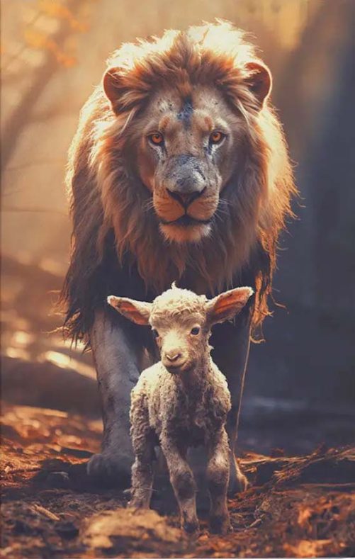 Christian Canvas Lion And Lamb In The Forest Christian Wall Art
