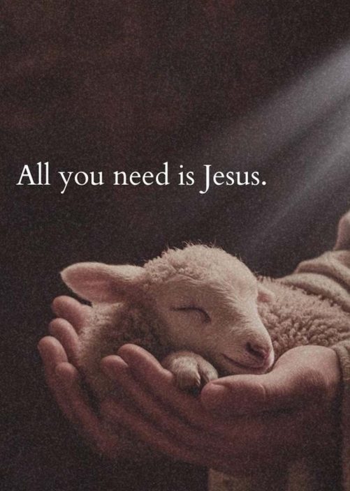 Christian Canvas All You Need Is Jesus