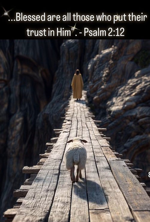 christian canvas blessed are all those who put their trust in him psalm 212 1787155082787.jpg