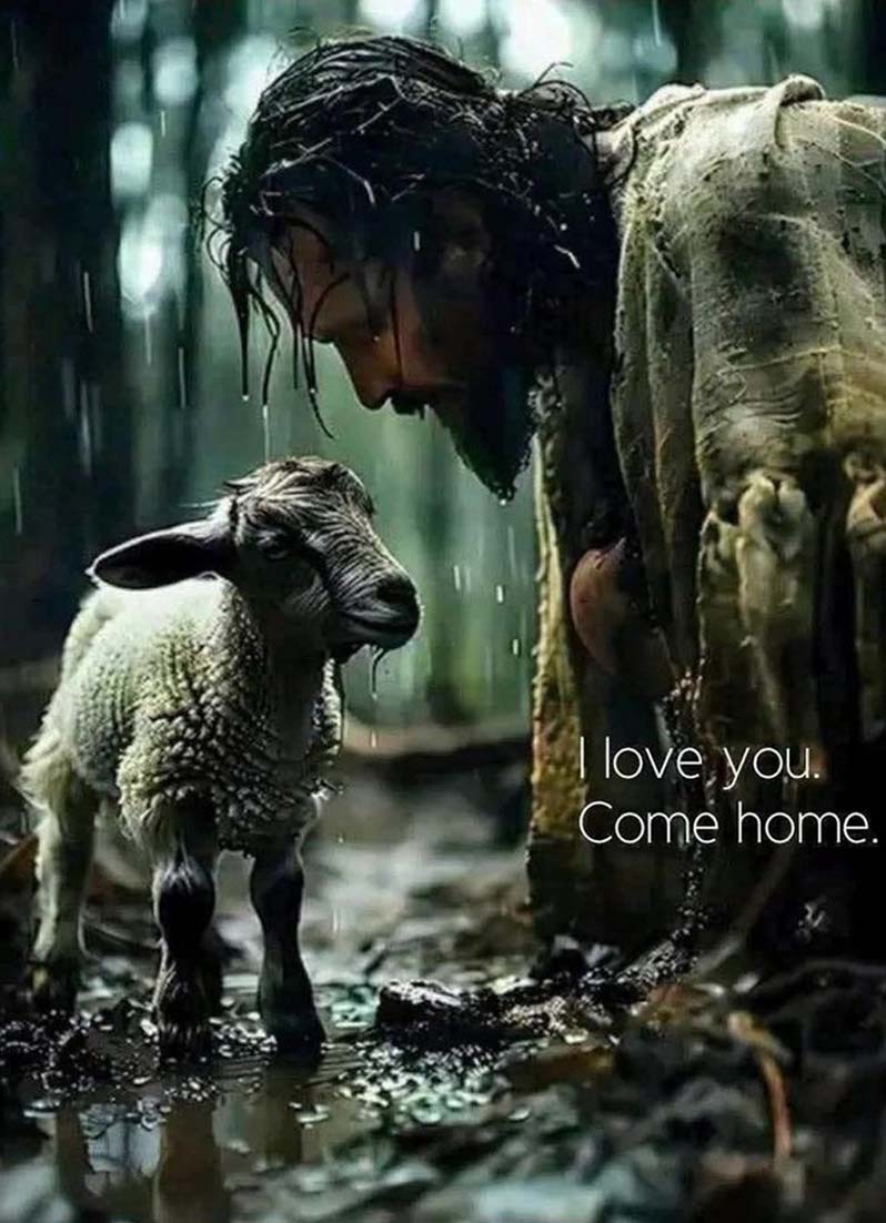 Christian Canvas Jesus And Lost Lambs I Love You Come Home