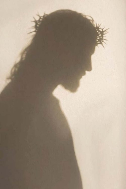 christiian canvas shadow art of jesus christ wearing a crown of thorns 1787409561969.jpg