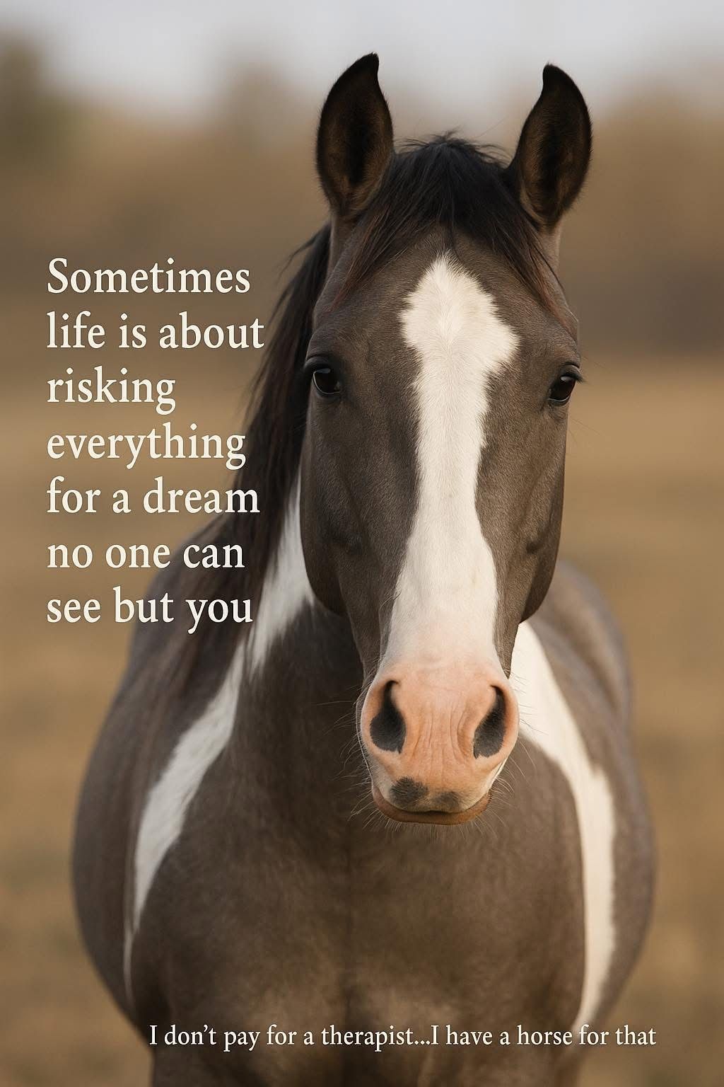 horse canvas i have a horse 1787064006437.jpg