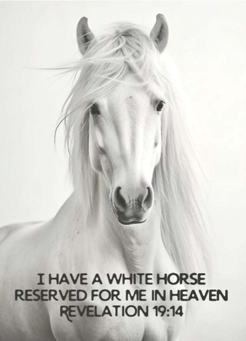 horse canvas i have a white horse reserved for me in heaven 1787406475162.jpg