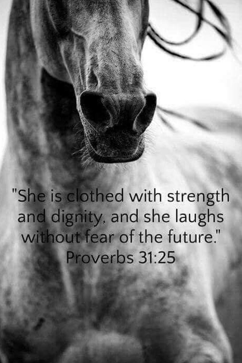 Horse Canvas She Is Clothed With Strength Proverbs 31 25