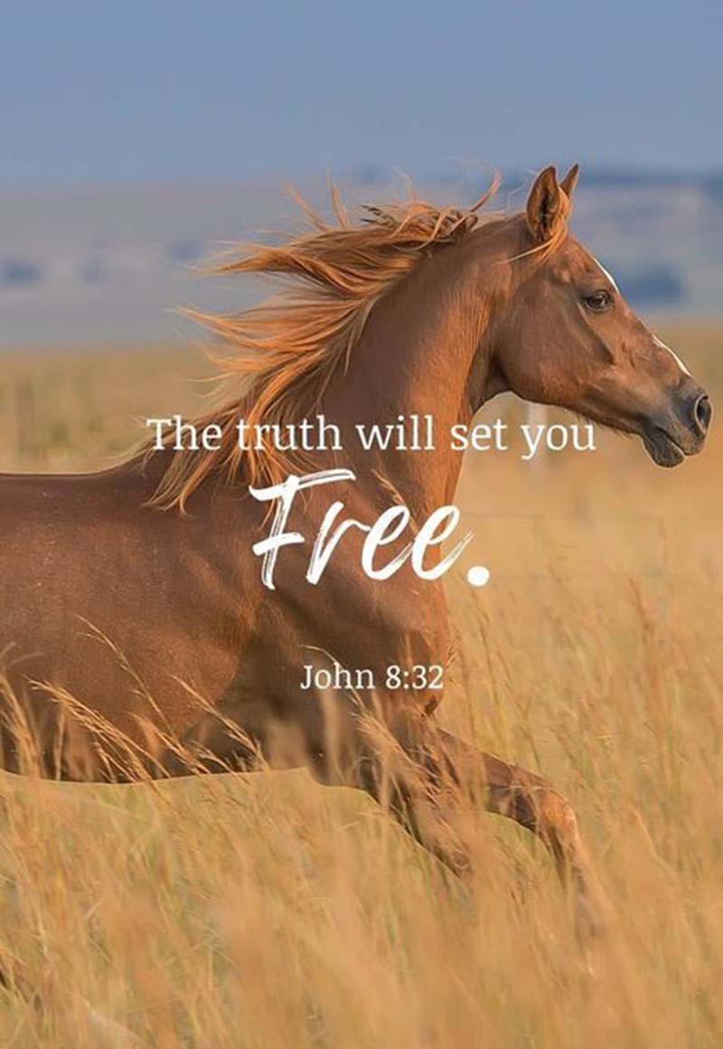 Horse Canvas The Truth Will Set You Free