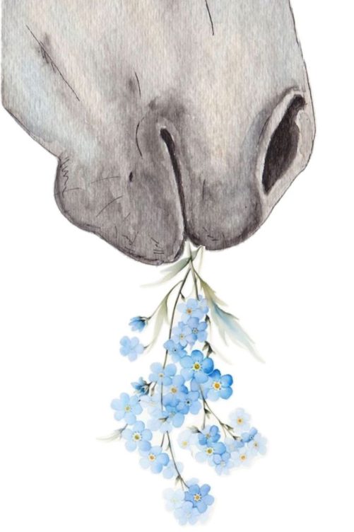 horse memorial canvas forget me not 1787063110473.jpg