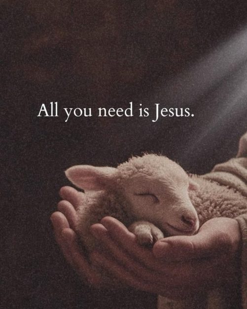 jesus canvas all you need is jesus wall art canvas 1786371856037.jpg