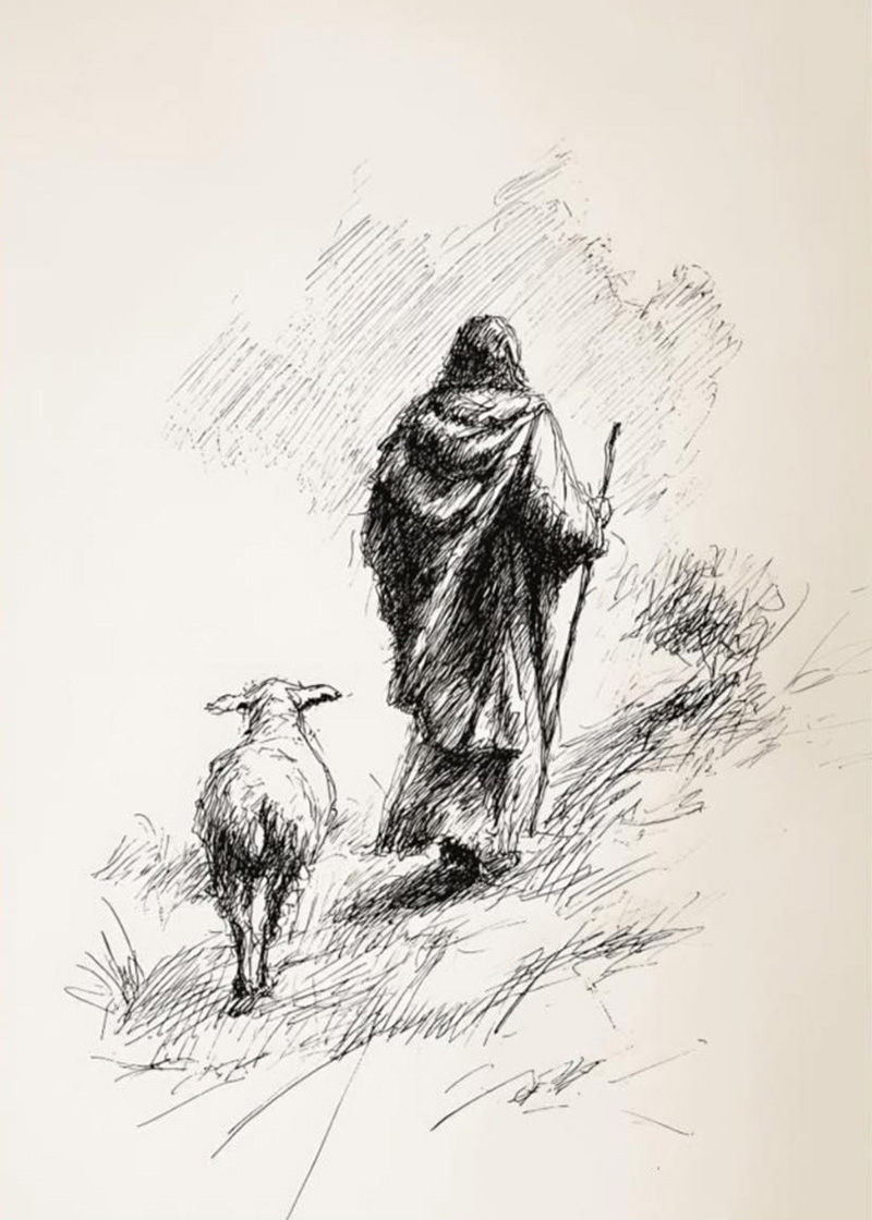 christian cachristian canvas the good shepherd sketch art style 1788246720984.jpg