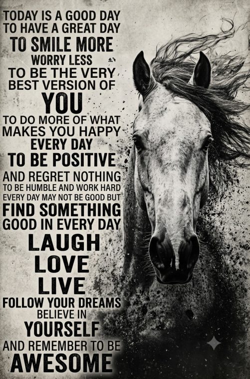 horse canvas today is a good day remember to be awesome 1789393171977.jpg